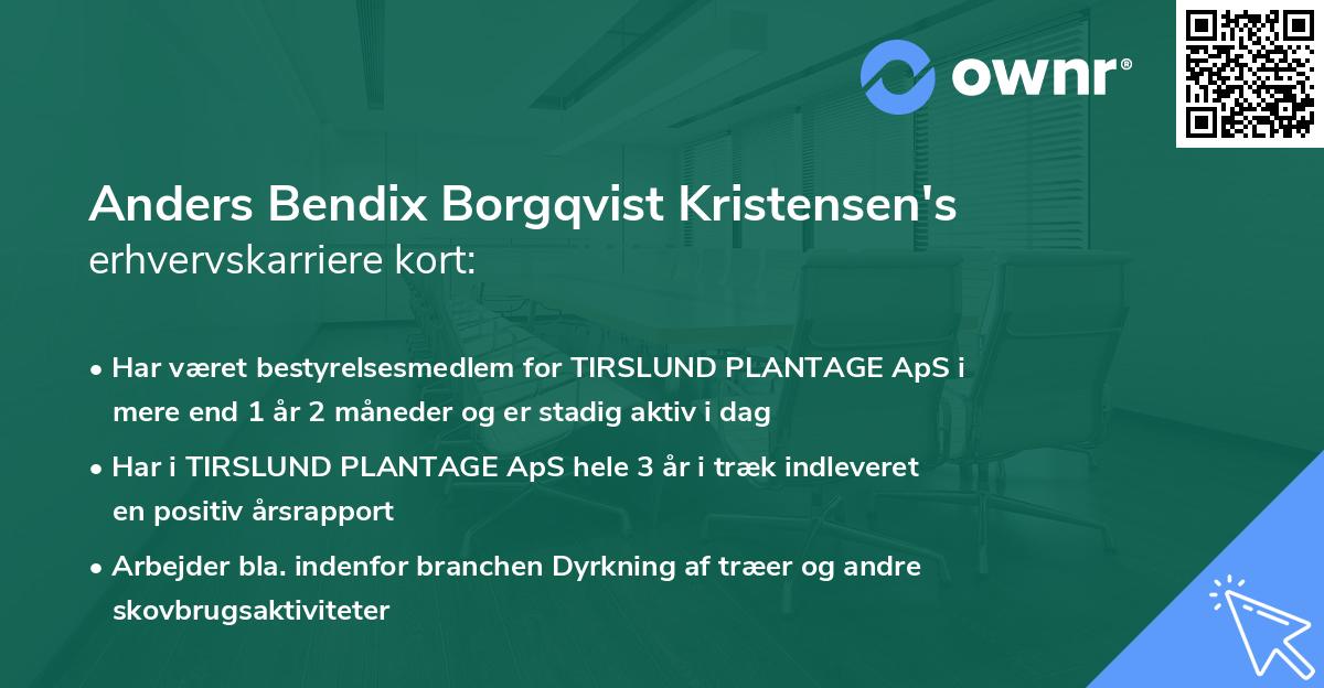 Anders Bendix Borgqvist Kristensen's erhvervskarriere kort