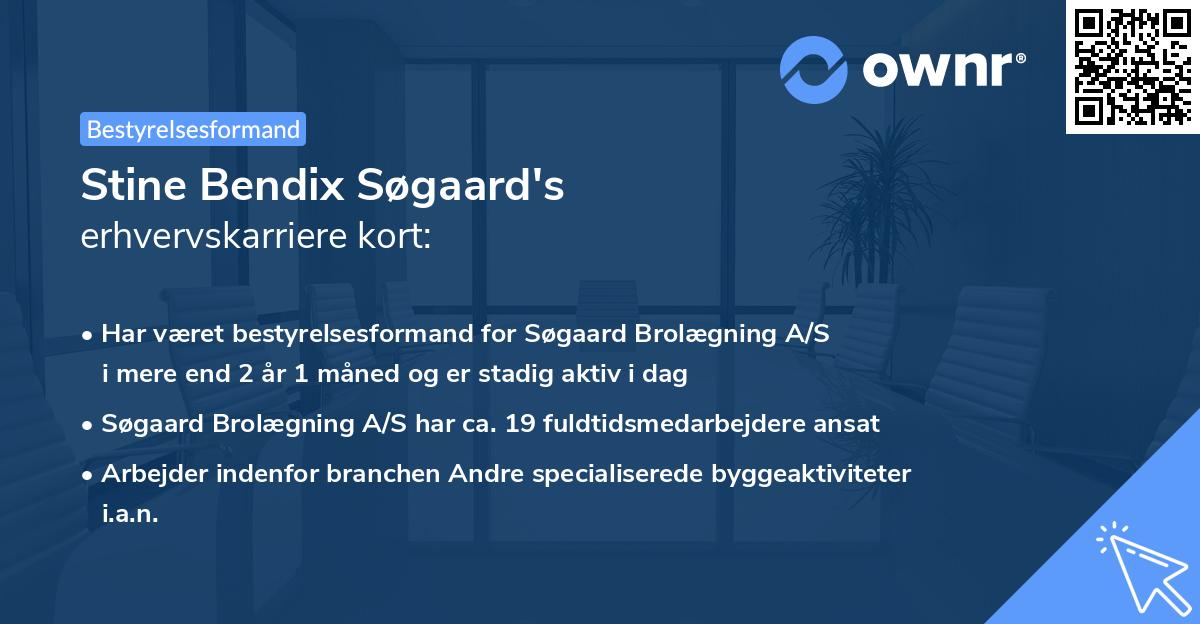 Stine Bendix Søgaard's erhvervskarriere kort
