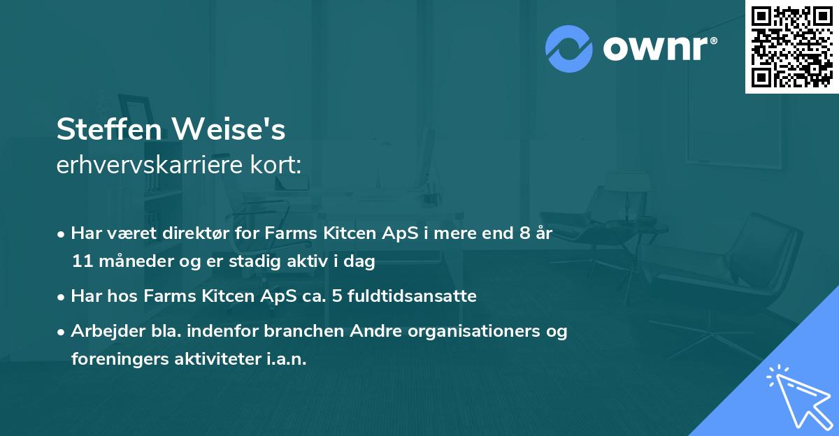 Steffen Weise's erhvervskarriere kort