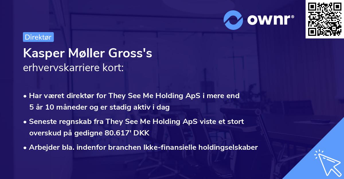 Kasper Møller Gross's erhvervskarriere kort