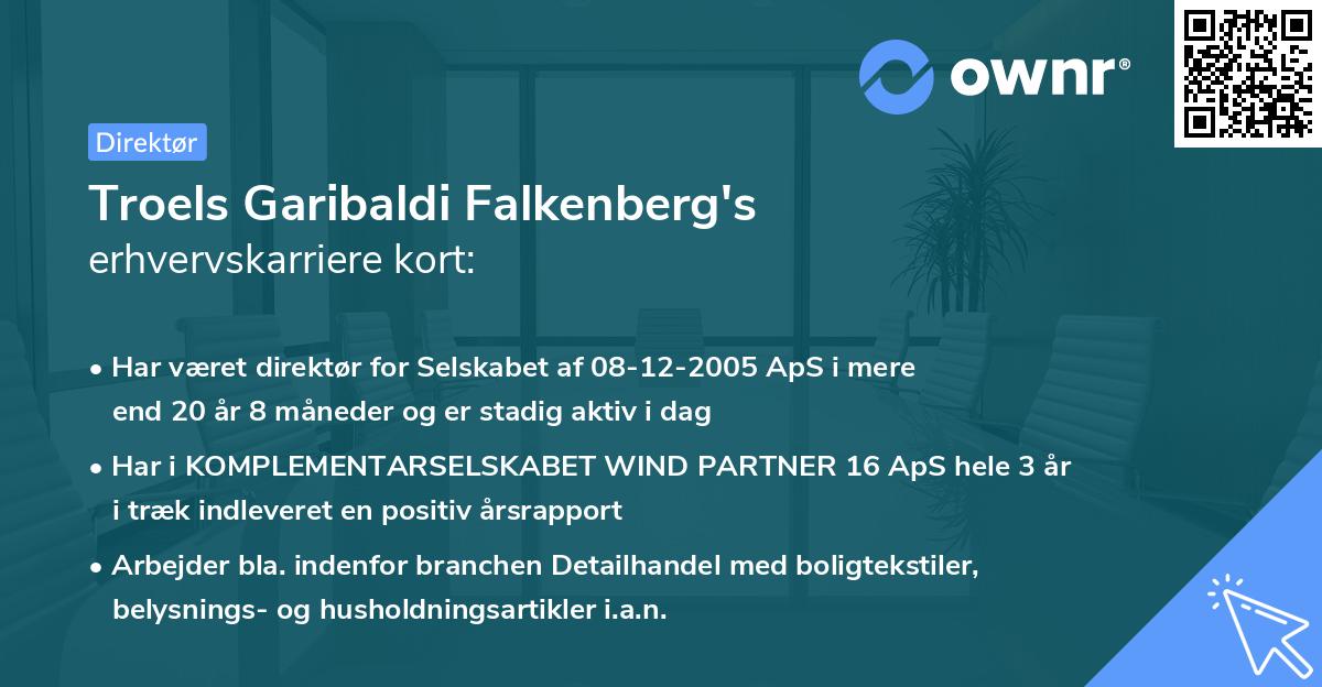 Troels Garibaldi Falkenberg's erhvervskarriere kort