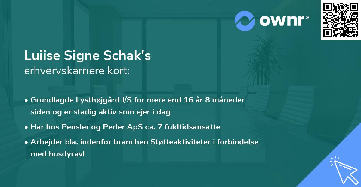 Luiise Signe Schak's erhvervskarriere kort