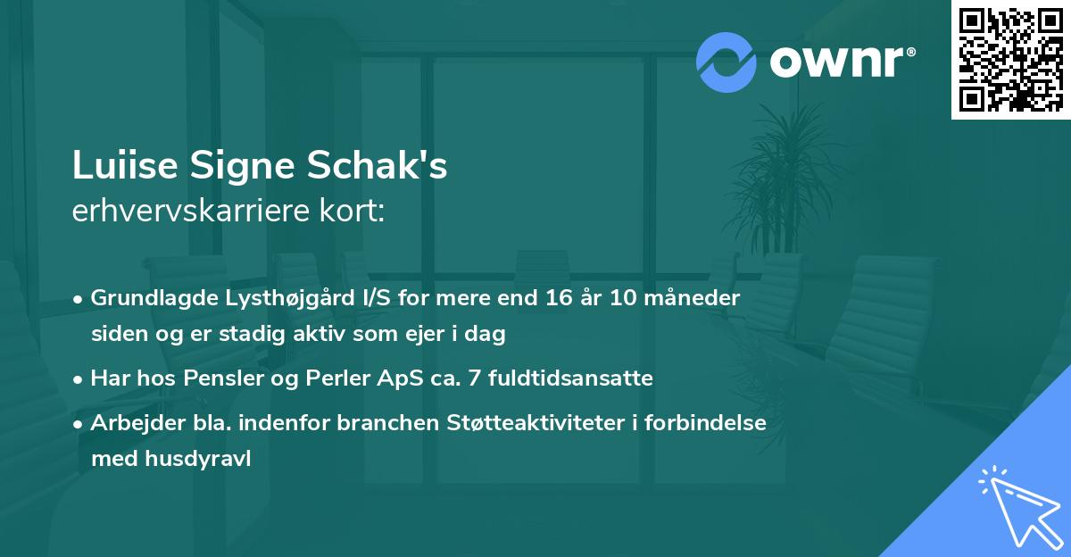 Luiise Signe Schak's erhvervskarriere kort