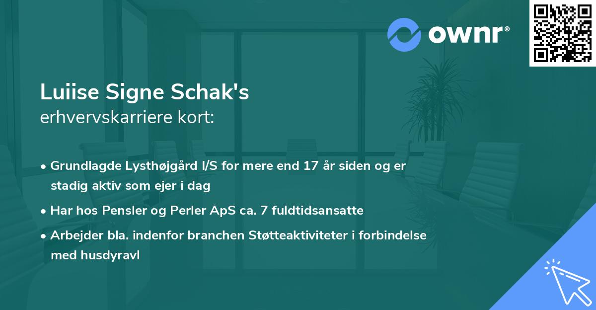 Luiise Signe Schak's erhvervskarriere kort
