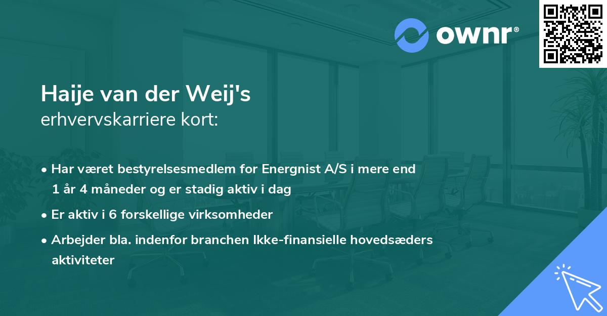 Haije van der Weij's erhvervskarriere kort