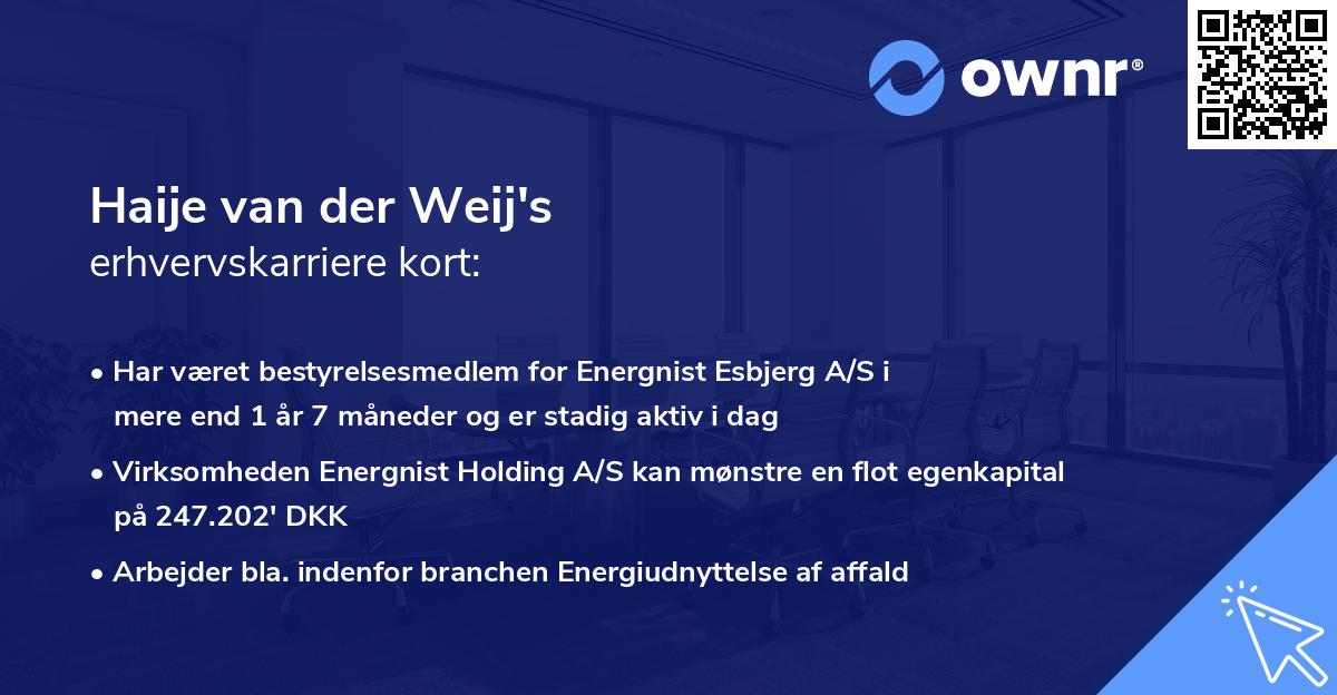 Haije van der Weij's erhvervskarriere kort