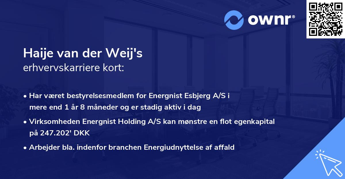 Haije van der Weij's erhvervskarriere kort