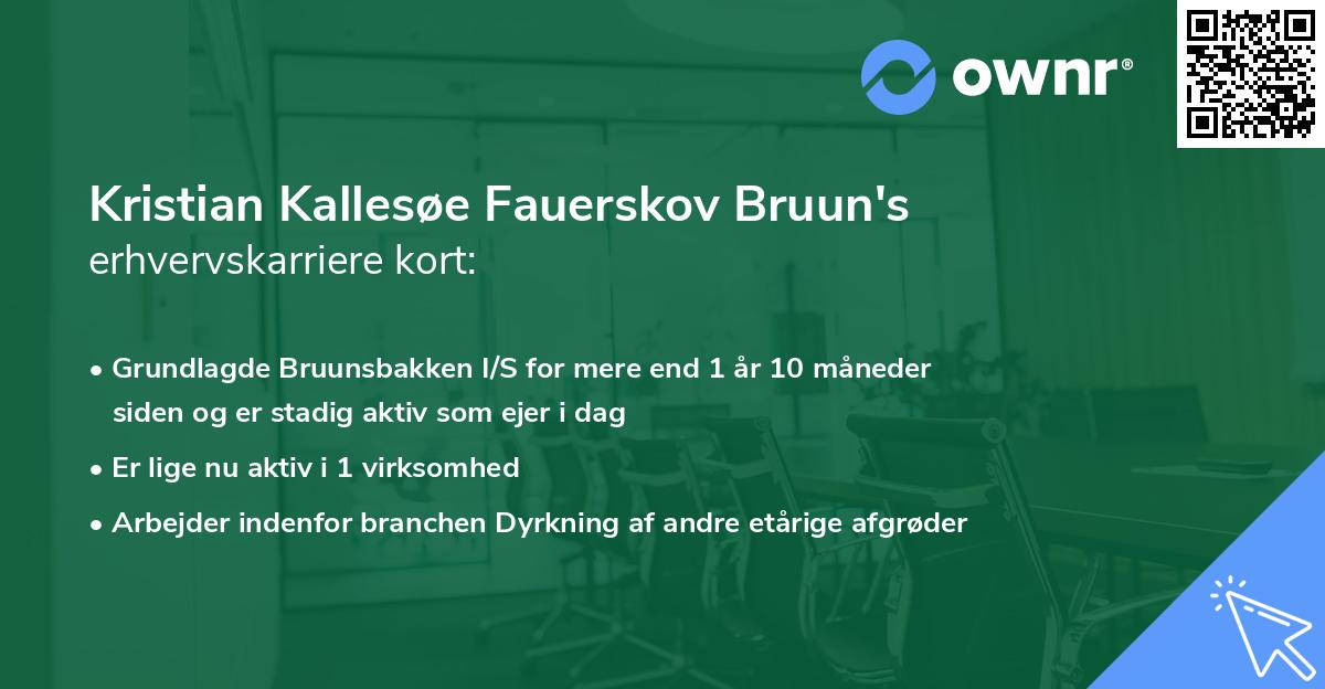Kristian Kallesøe Fauerskov Bruun's erhvervskarriere kort