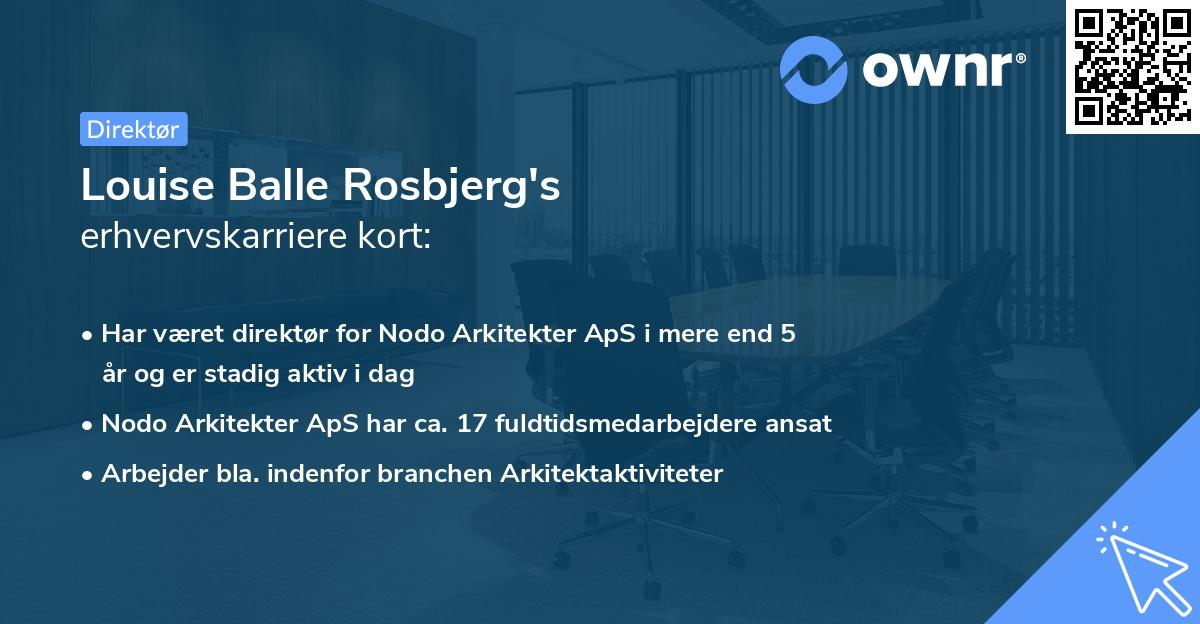 Louise Balle Rosbjerg's erhvervskarriere kort