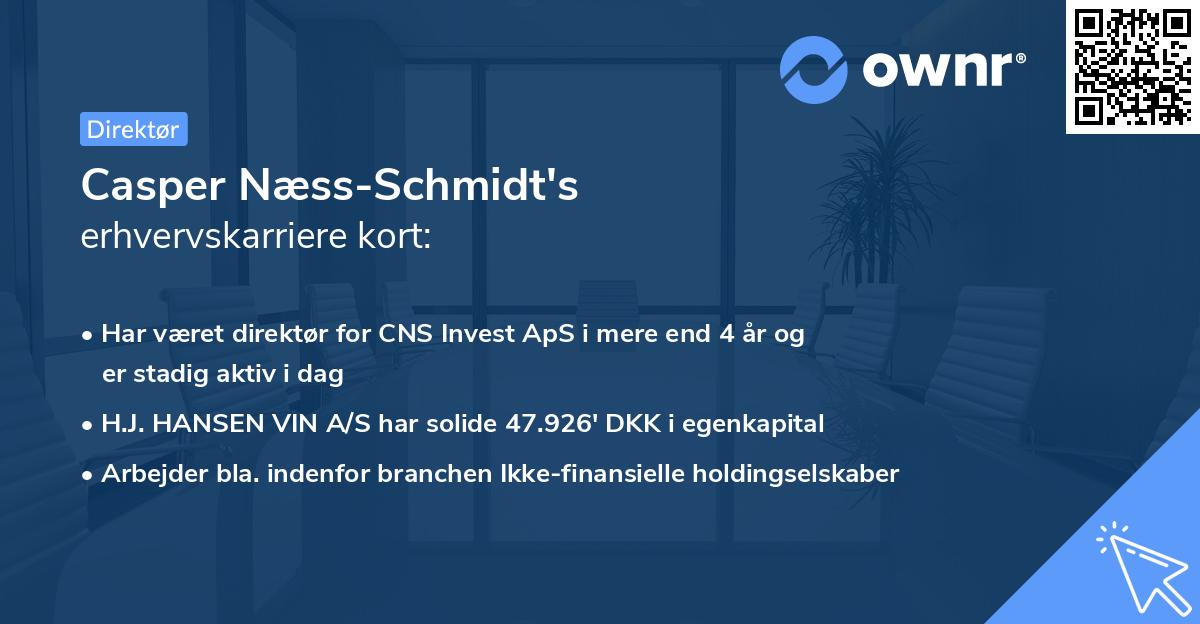 Casper Næss-Schmidt's erhvervskarriere kort