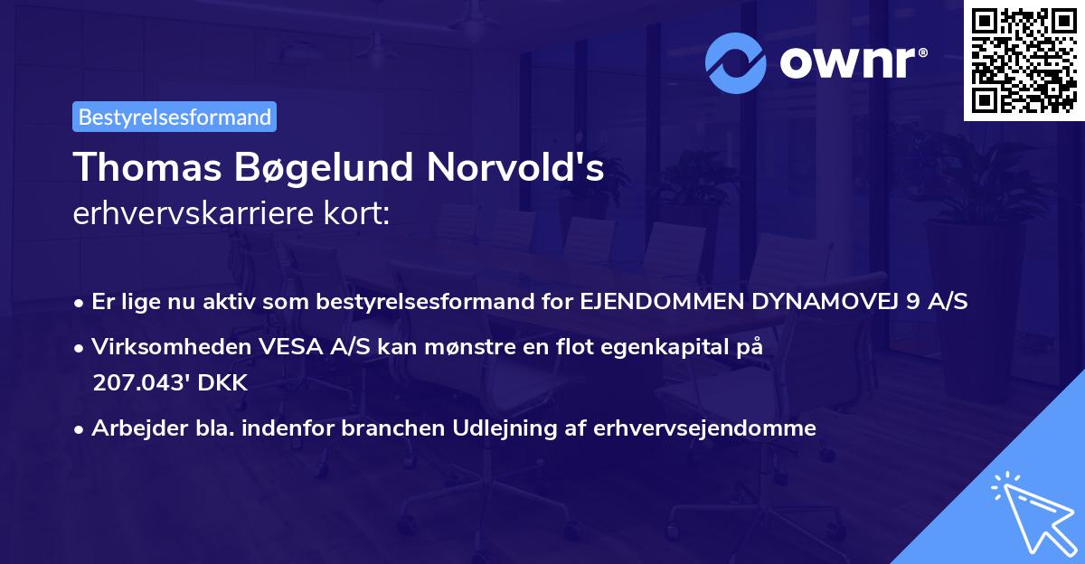 Thomas Bøgelund Norvold's erhvervskarriere kort
