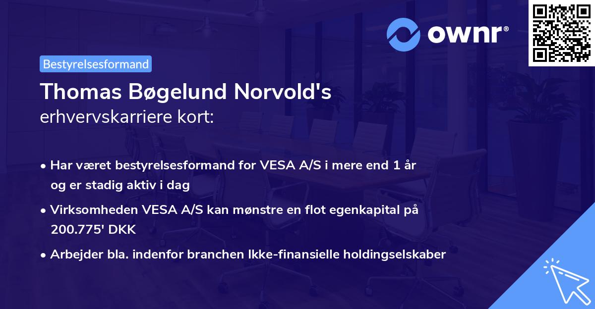 Thomas Bøgelund Norvold's erhvervskarriere kort