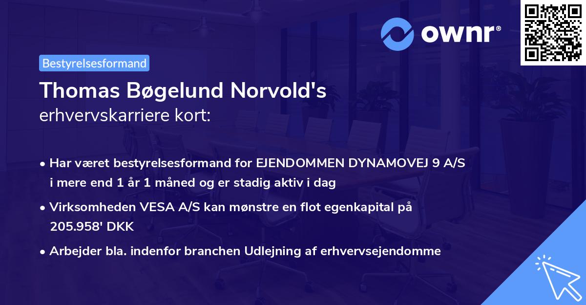 Thomas Bøgelund Norvold's erhvervskarriere kort
