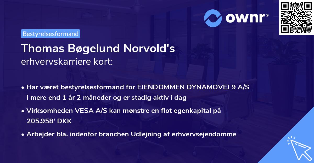 Thomas Bøgelund Norvold's erhvervskarriere kort