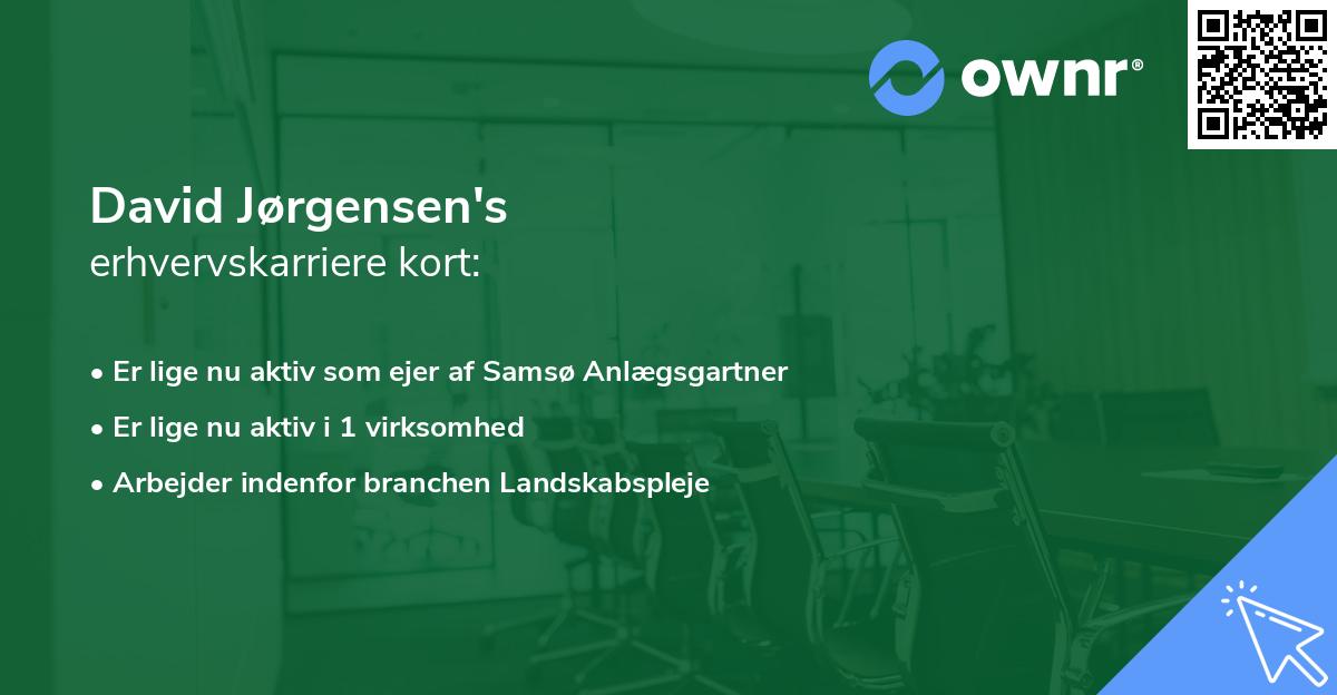 David Jørgensen's erhvervskarriere kort
