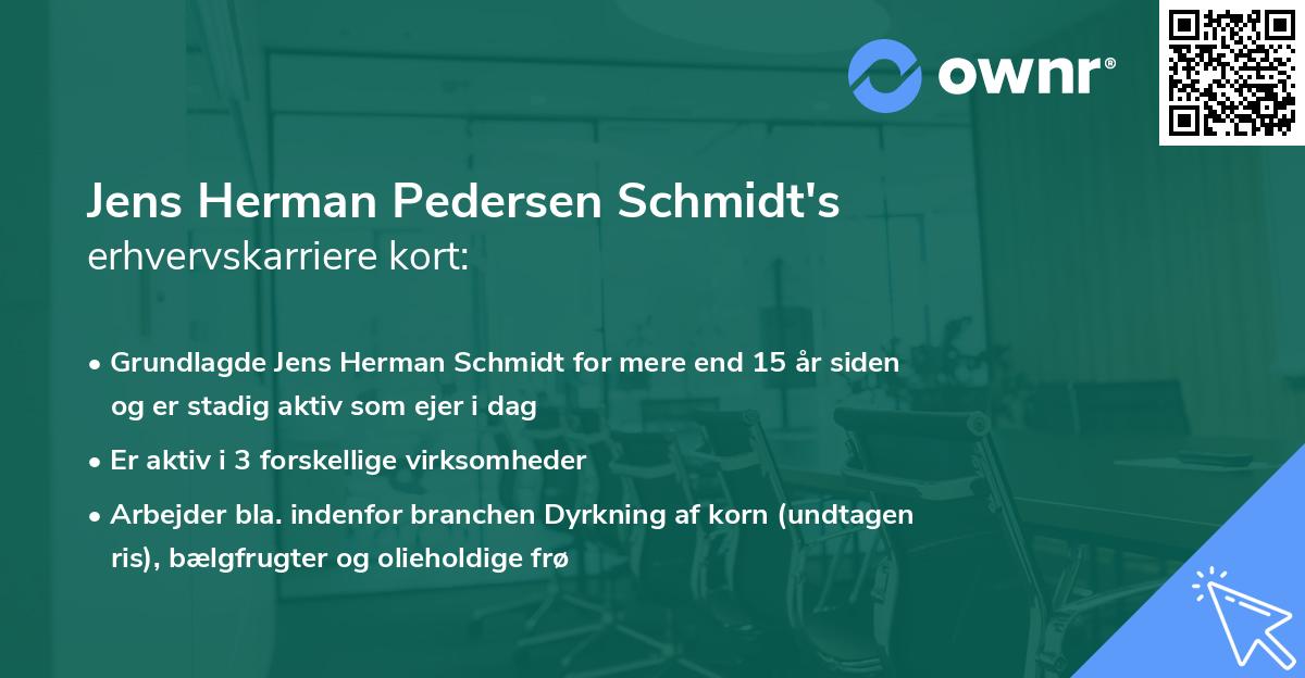 Jens Herman Pedersen Schmidt's erhvervskarriere kort