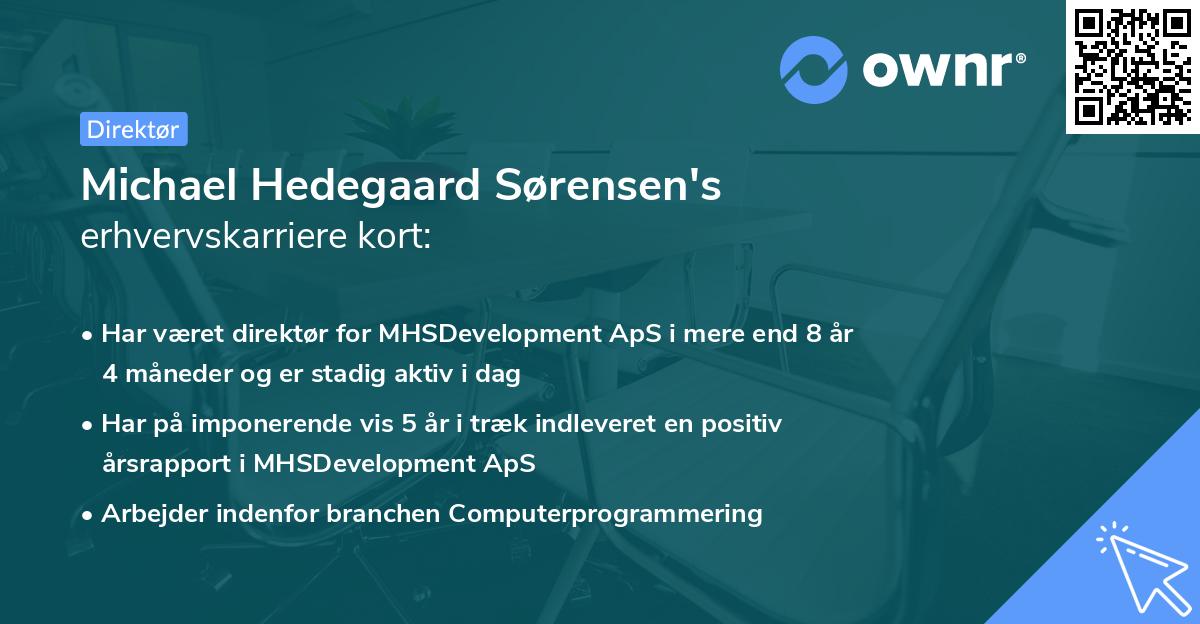 Michael Hedegaard Sørensen's erhvervskarriere kort