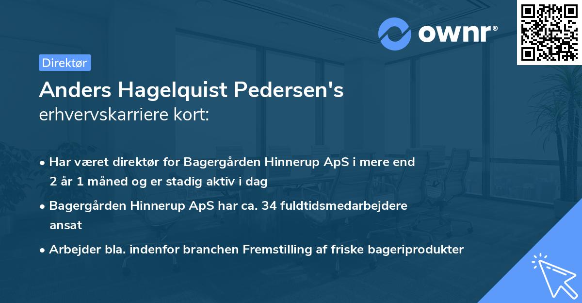 Anders Hagelquist Pedersen's erhvervskarriere kort