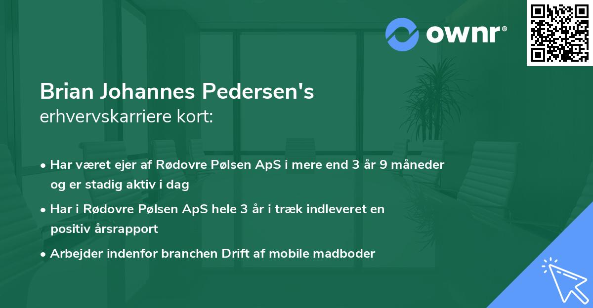 Brian Johannes Pedersen's erhvervskarriere kort
