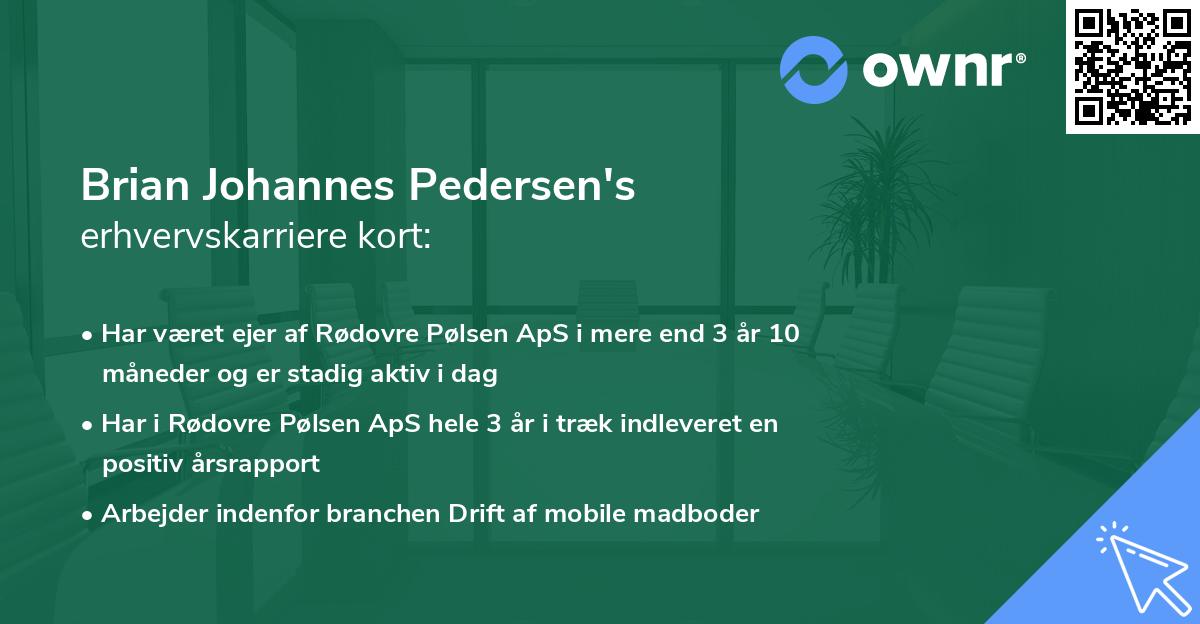Brian Johannes Pedersen's erhvervskarriere kort