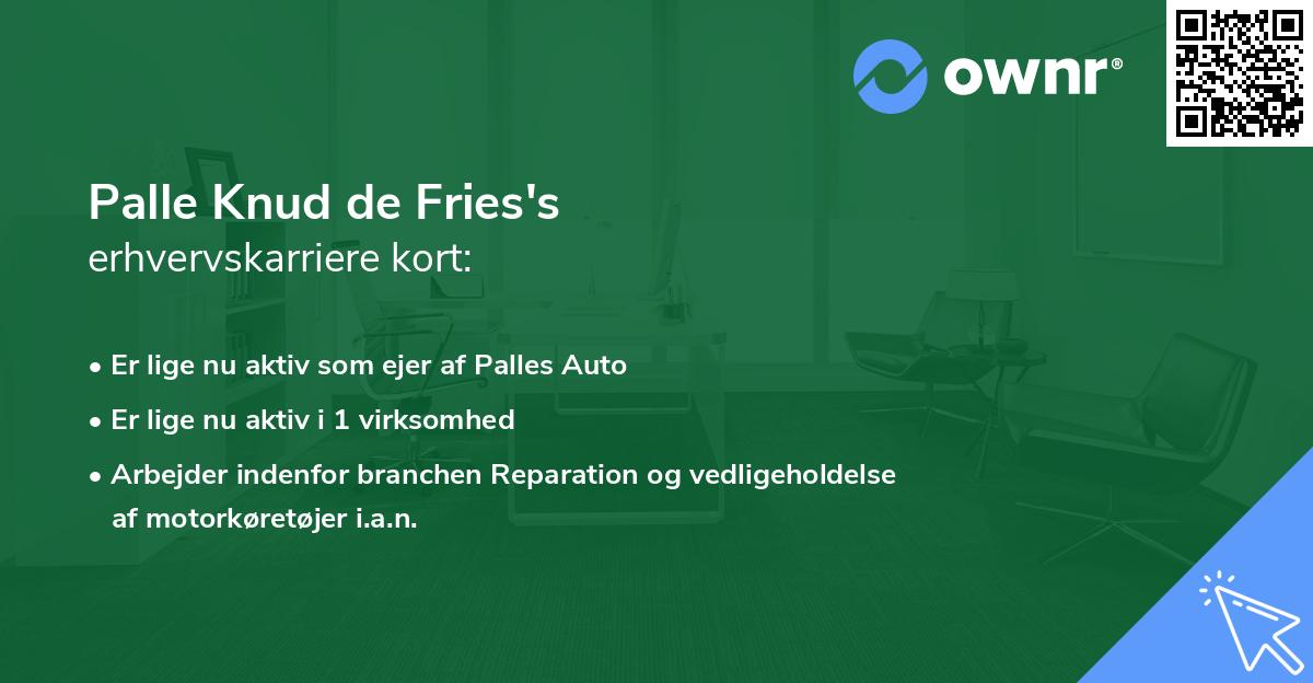 Palle Knud de Fries's erhvervskarriere kort