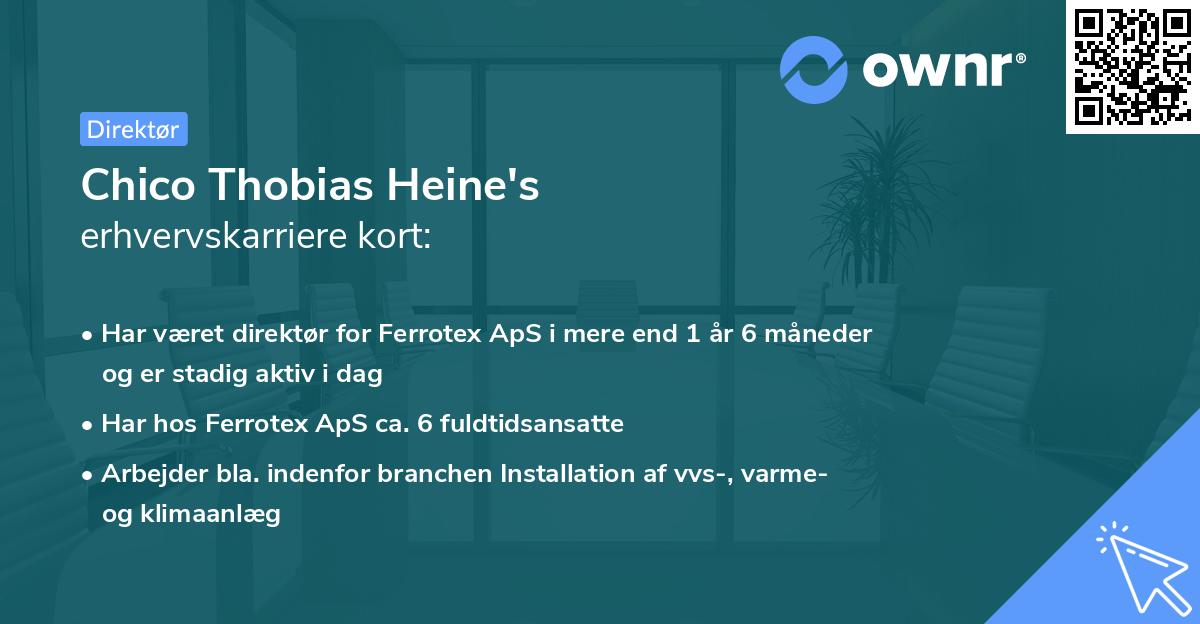 Chico Thobias Heine's erhvervskarriere kort