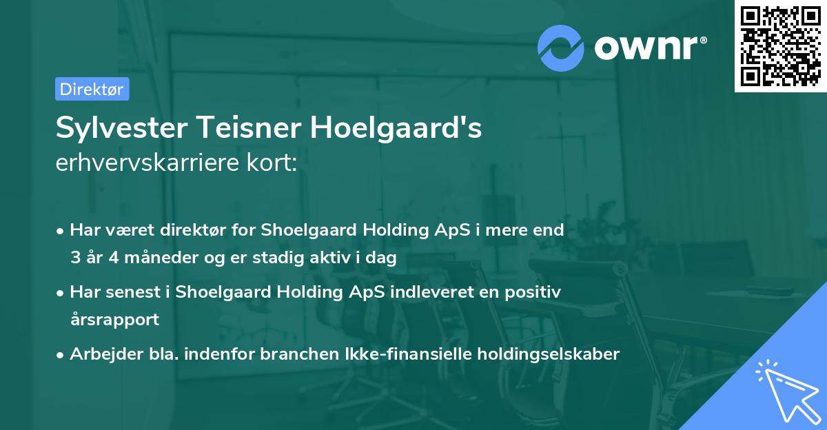 Sylvester Teisner Hoelgaard's erhvervskarriere kort