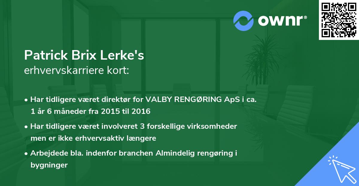 Patrick Brix Lerke's erhvervskarriere kort