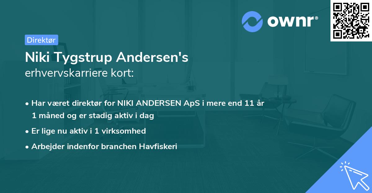 Niki Tygstrup Andersen's erhvervskarriere kort