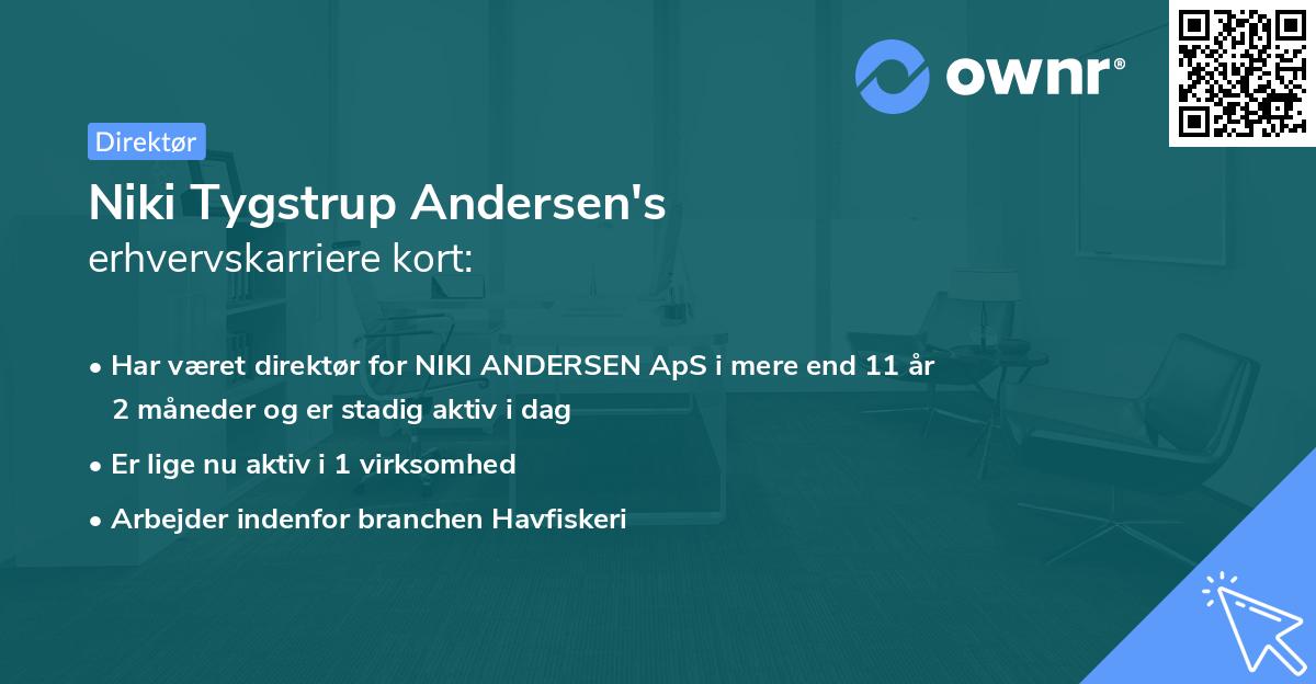 Niki Tygstrup Andersen's erhvervskarriere kort
