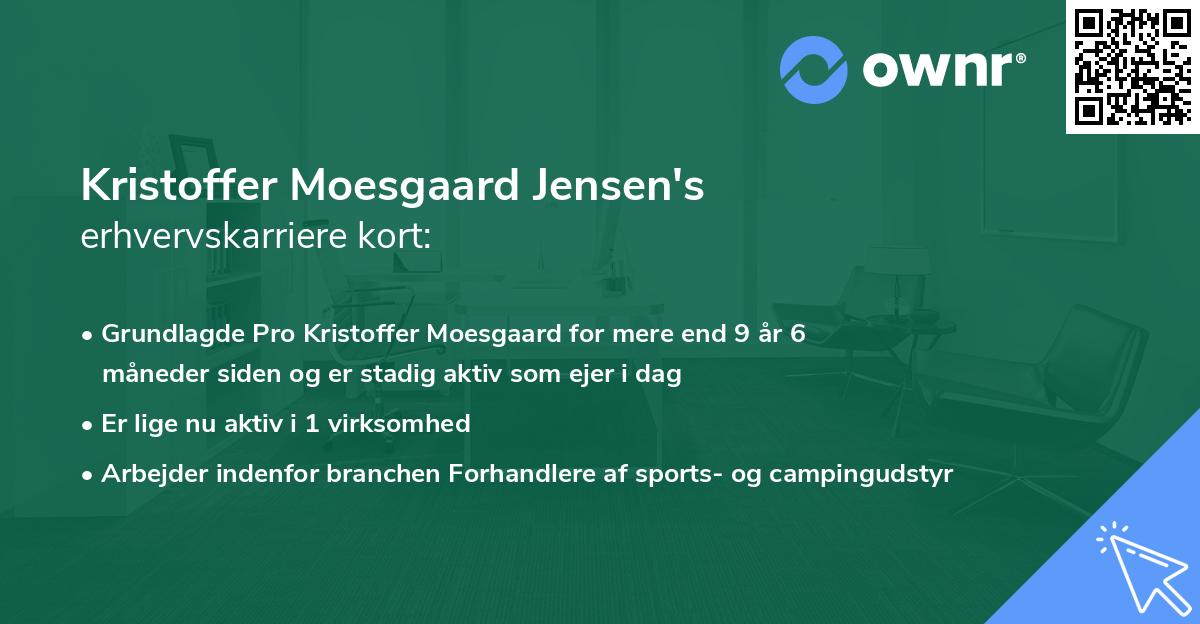 Kristoffer Moesgaard Jensen's erhvervskarriere kort