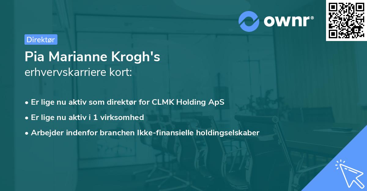Pia Marianne Krogh's erhvervskarriere kort