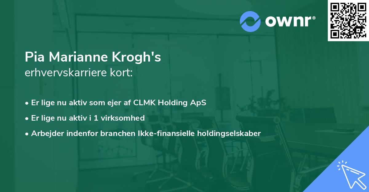 Pia Marianne Krogh's erhvervskarriere kort