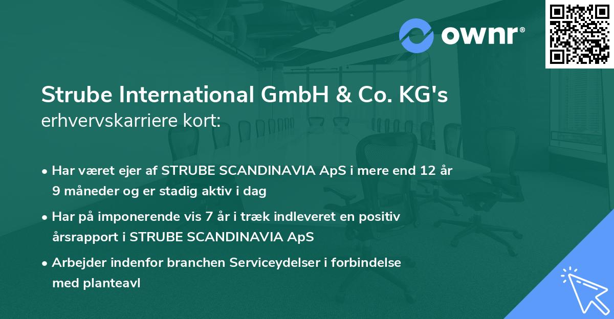 Strube International GmbH & Co. KG's erhvervskarriere kort