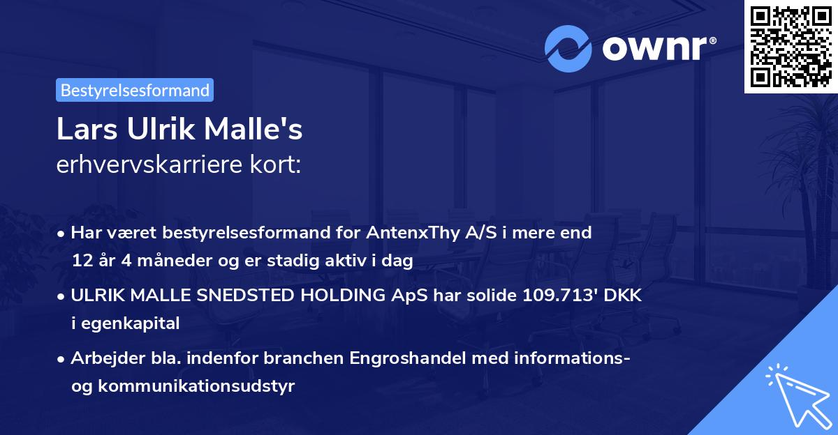 Lars Ulrik Malle's erhvervskarriere kort