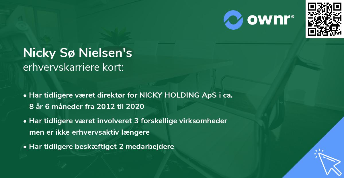 Nicky Sø Nielsen's erhvervskarriere kort