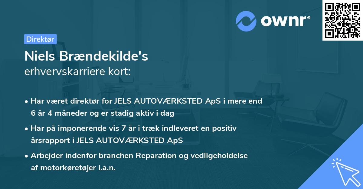 Niels Brændekilde's erhvervskarriere kort