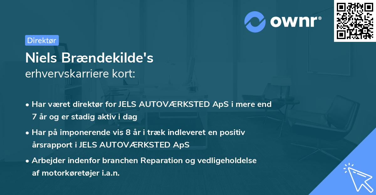 Niels Brændekilde's erhvervskarriere kort