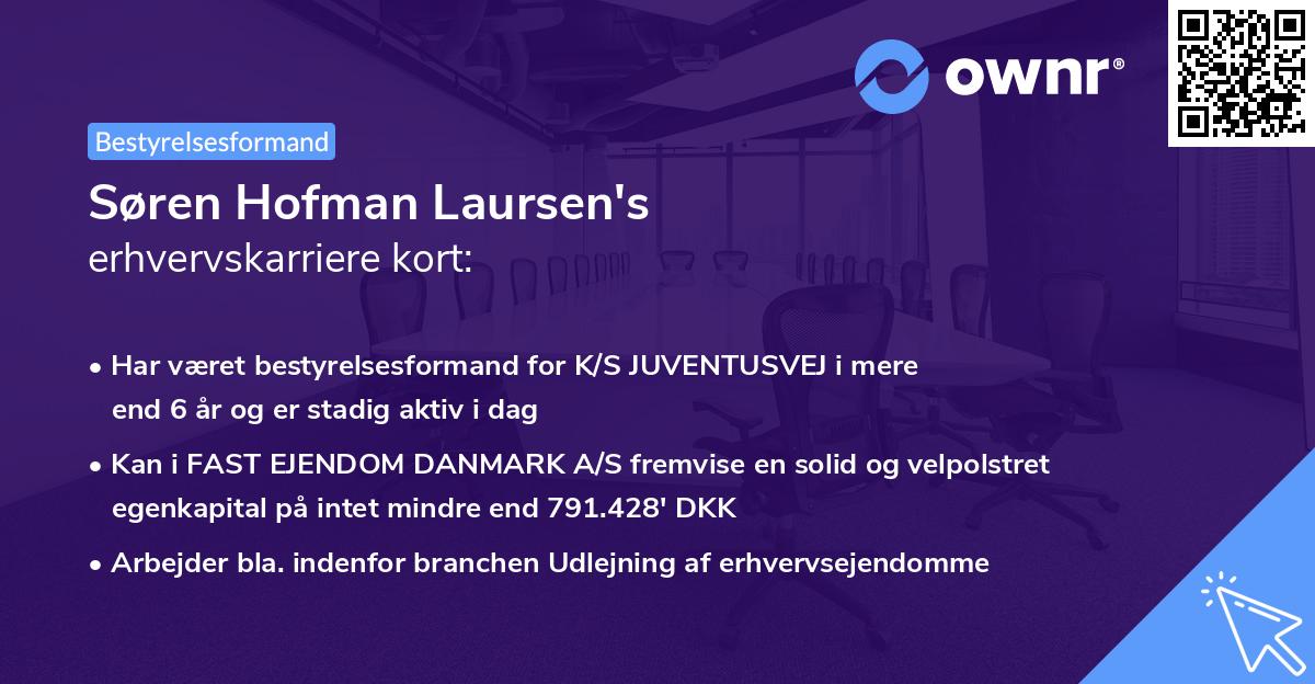 Søren Hofman Laursen's erhvervskarriere kort