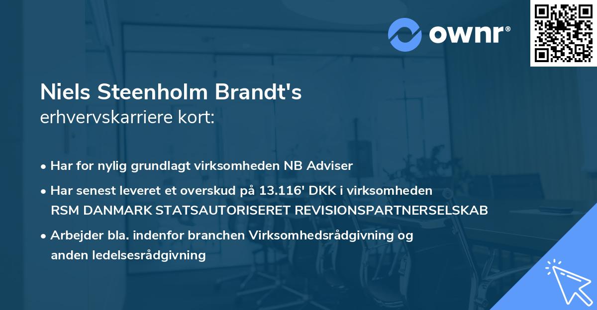 Niels Steenholm Brandt's erhvervskarriere kort