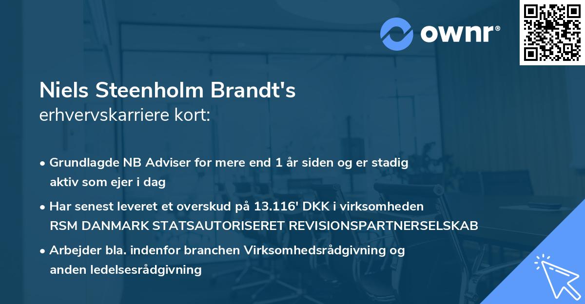 Niels Steenholm Brandt's erhvervskarriere kort