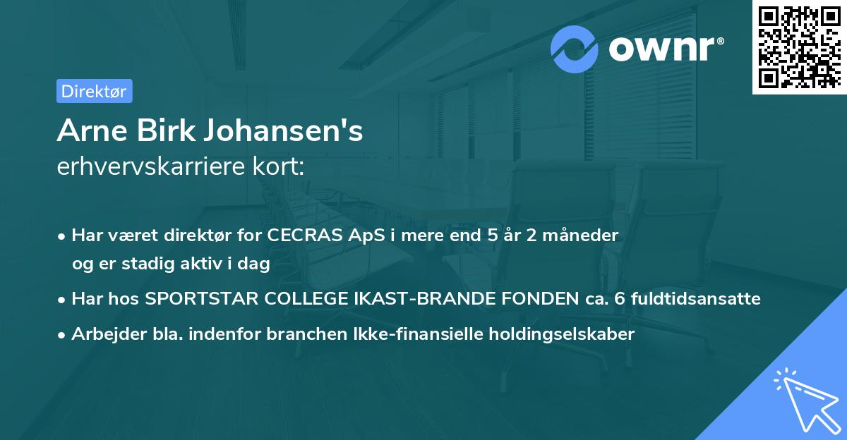Arne Birk Johansen's erhvervskarriere kort