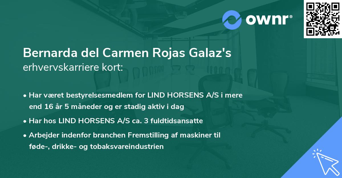 Bernarda del Carmen Rojas Galaz's erhvervskarriere kort