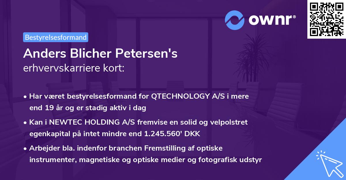 Anders Blicher Petersen's erhvervskarriere kort