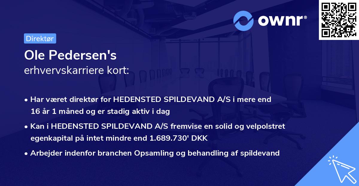 Ole Pedersen's erhvervskarriere kort