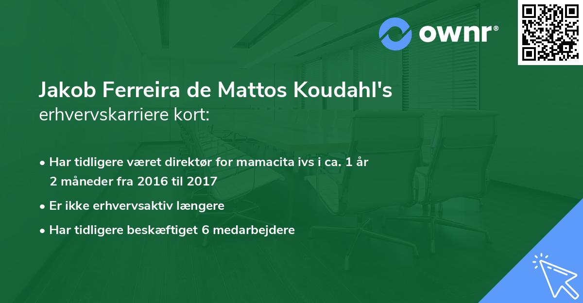 Jakob Ferreira de Mattos Koudahl's erhvervskarriere kort