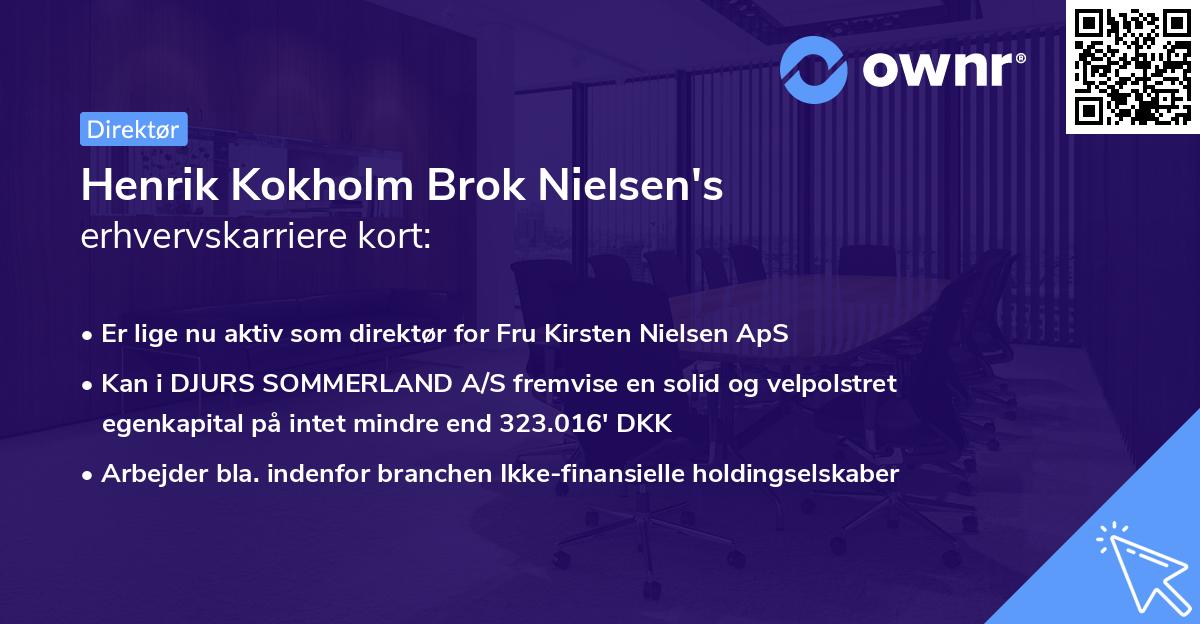Henrik Kokholm Brok Nielsen's erhvervskarriere kort