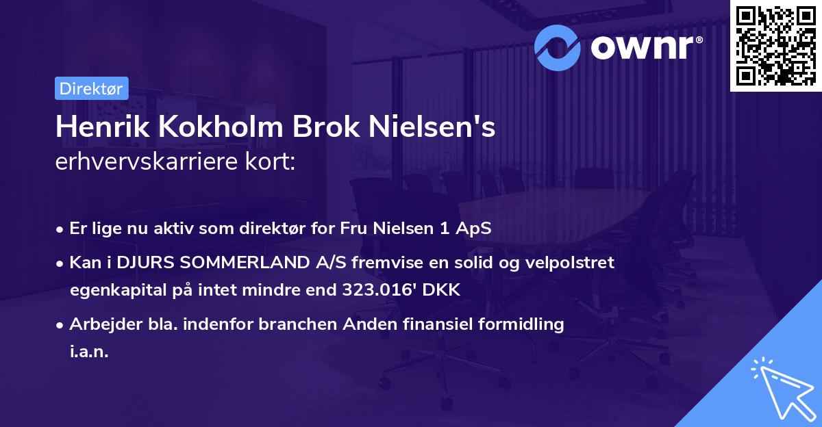 Henrik Kokholm Brok Nielsen's erhvervskarriere kort