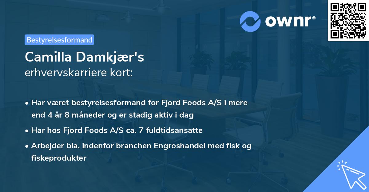Camilla Damkjær's erhvervskarriere kort