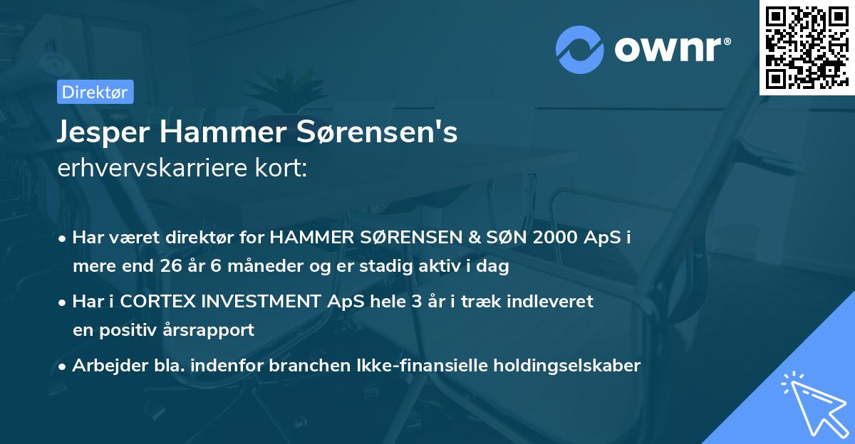 Jesper Hammer Sørensen's erhvervskarriere kort